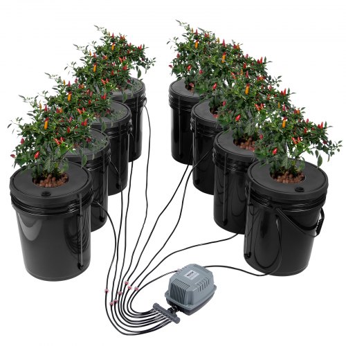 VEVOR DWC Hydroponics Grow System, Hydroponisches Anbausystem, Deep Water Culture 5-Gallonen 8 Eimer, DWC-System mit Luftpumpe, Luftsteinen und Wasserstandsanzeige für Blattgemüse