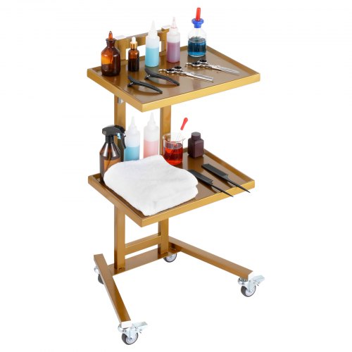 

VEVOR Laborwagen aus Edelstahl mit 2 Ebenen, Laborwagen mit 2 Ablagen, mobiler medizinischer Wagen mit 4 leisen Rädern, Laborrollwagen für Labor, Klinik, Krankenhaus, Salon, Golden
