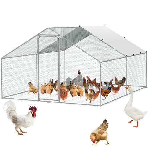 

VEVOR Gallinero Grande de Metal, 3 x 3,93 x 1,99 m, Gallinero para Patio con Cubierta, Gallinero con Techo de Aguja con Cerradura de Seguridad para Exteriores y Patio Trasero, Granja, Jaula para Patos