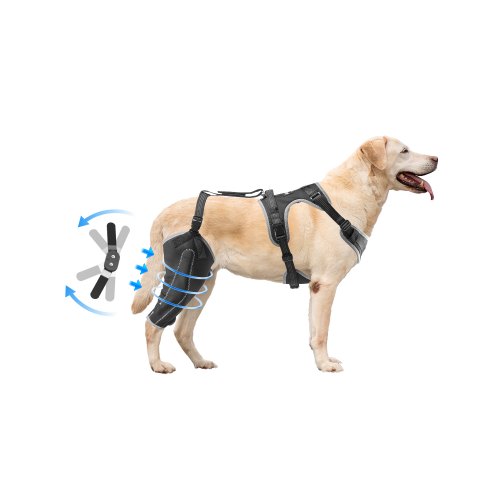

VEVOR Rodillera para Pata Trasera Derecha Ajustable para Perro, Talla M, Negro