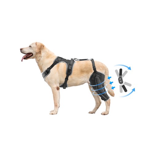 

VEVOR Rodillera para Pata Trasera Izquierda Ajustable de Perro, Talla XL, Negro