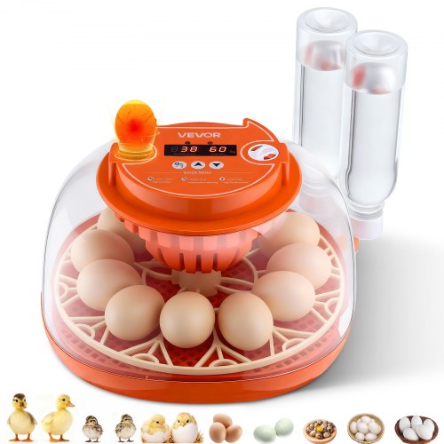 

VEVOR Incubadora de 12 Huevos, Volteadora Automática con Luz LED, Control de Temperatura y Humedad, Ventana Transparente con Vista de 360°, para Granjas Domésticas, Pollitos, Patos, y Codornices