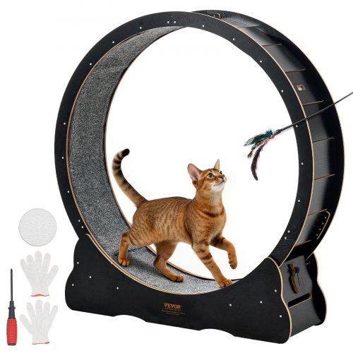 

VEVOR Rueda de Ejercicio de Madera, para Gatos de 8,6 a 12,7 kg, Diámetro Interior de 1080 mm, Cinta de Correr con Superficie Alfombrada y Mecanismo de Bloqueo, Color Negro, 1200 x 340 x 1275 mm