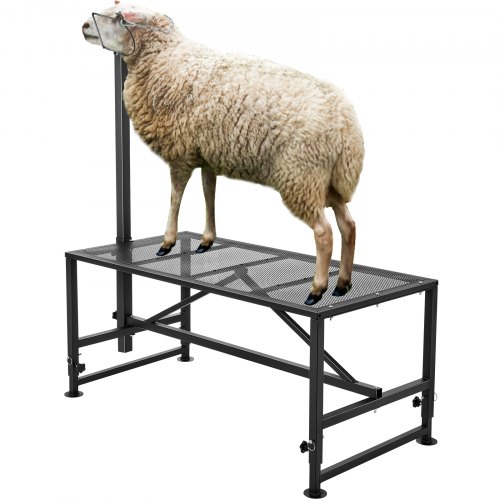

VEVOR Soporte para cabras y ovejas, soporte para ganado de 47 x 23 pulgadas, soporte de metal para ordeño y esquila de ganado de 21 a 33 pulgadas de altura ajustable, con tocado y bucle para la nariz, peso de carga de 500 libras, negro