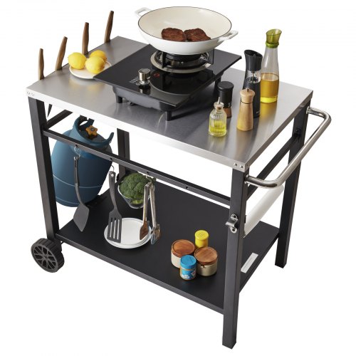 VEVOR Desserte Plancha à 2 Niveaux Chariot de Barbecue avec Grand Plan