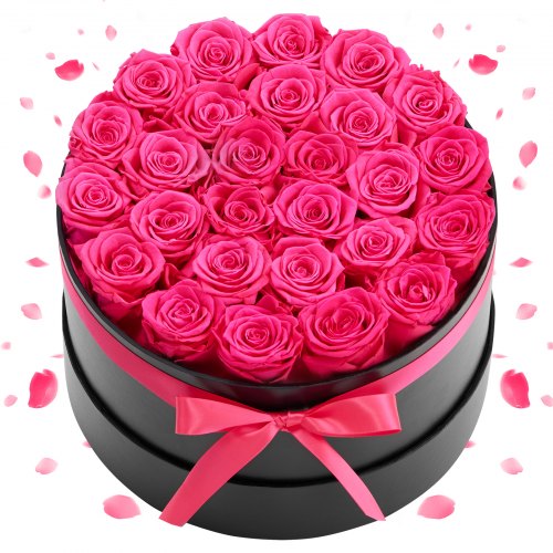 

VEVOR Rose Éternelle 27 Fleurs Éternelles Préservées Boîte Ronde Bouquet Roses Éternelles Cadeau pour Elle, Femme, Épouse, Maman, Mamie, Amie, Anniversaire, Saint-Valentin, Noël, Couleur Rouge Rose