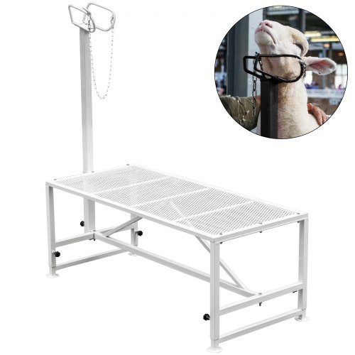 

VEVOR Support pour bétail 130x59 cm support de parage avec pièce de tête droite, support de parage pour chèvre avec cadre en métal robuste, support de tonte pour mouton, support de parage bétail blanc