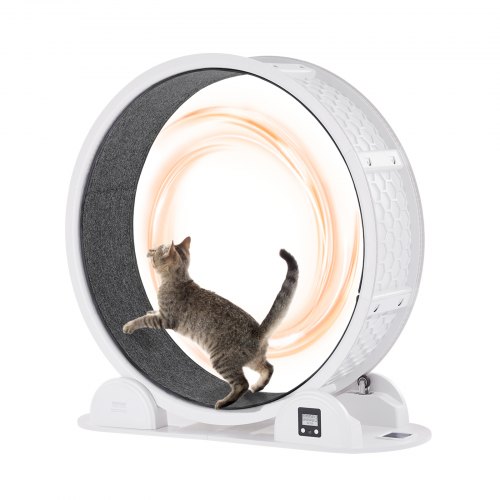 

VEVOR Roue d'exercice pour chat, 1038 mm, roue de tapis roulant pour chat avec frein et piste recouverte de moquette, roue de course pour chat d'intérieur, pour santé et fitness des animaux, blanc