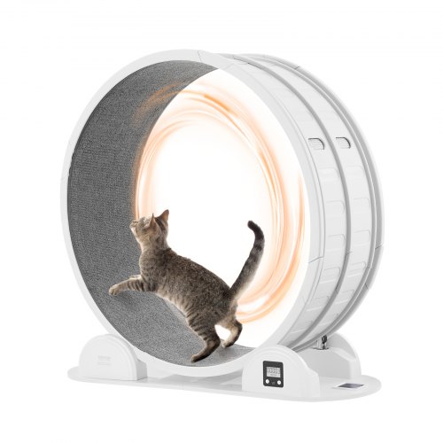 

VEVOR Roue d'exercice pour chat, 1038 mm, roue de tapis roulant pour chat avec frein et piste recouverte de moquette, roue de course pour chat d'intérieur, pour santé et fitness des animaux, blanc