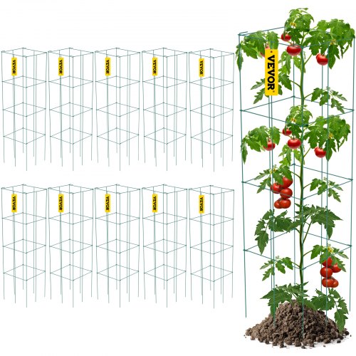 

VEVOR Gabbie per Pomodori, 11,8" x 11,8" x 46,1", 10 Confezioni Gabbie di Supporto per Piante Quadrate, Torri di Pomodoro in Acciaio per Verdure Rampicanti, Piante, Fiori, Frutta