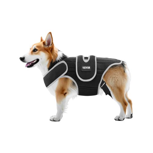 

VEVOR Tutore per Schiena del Cane per IVDD, Tutore Ortopedico per Schiena dell'Animale Domestico con Finiture Riflettenti, Supporto per Colonna Vertebrale del Cane per Alleviare Dolore, Taglia M, Nero
