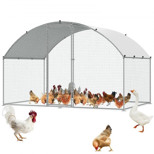 Kippenren Eggy - ruime plek voor uw kippen Kippenren Eggy - ruime plek voor uw kippen