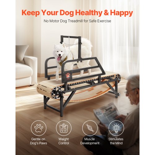 

Dog Treadmill for Medium Dogs up to 220 lbs Indoor Pet Running Machine