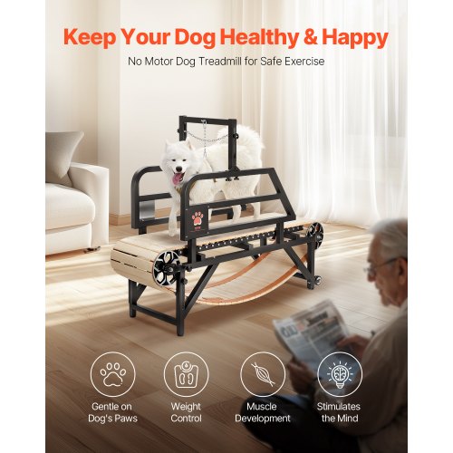 

Dog Treadmill for Medium Dogs up to 220 lbs Indoor Pet Running Machine