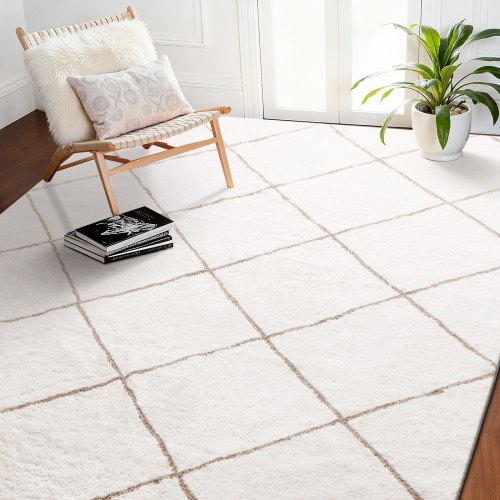 

VEVOR Indoor Plush Area Rugs, 2.44 x 3.05m Plush Carpet, Area Rugs Furry with Long Plushs Pile, Thick & Durable High-Pile Rug for High-Traffic Areas, Bedroom, Non-Shedding & Non-Slip Backing, Beige