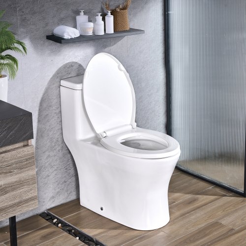 VEVOR One-Piece Toilet, Elongated Toilet Vortex Dual-Flush 1.0/1.28 GPF, Toilets for Bathroom with Comfortable Chair Seat, Standard Height, Easy-Clean Skirted Design, 12 inch Rough-In, White + Silver LTSMT12INCH1BFJ17001V0