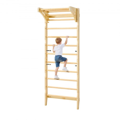 VEVOR Swedish Ladder Wall Gym 2-in-1 10-Level 220 LBS Loading Indoor Jungle Gym