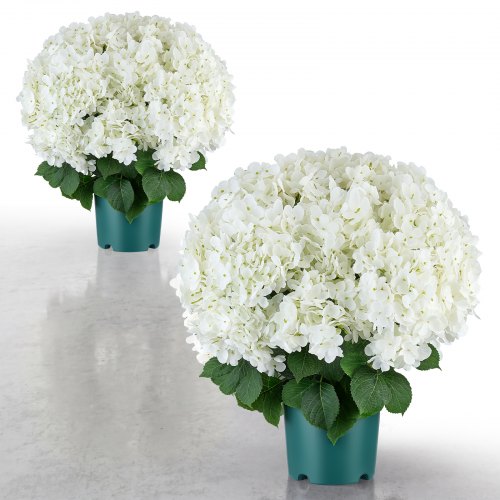 VEVOR Artificial Potted Hydrangeas 20 in 2-Pack Fake Flower Plants White, for Porch, Patio, Entryway, & Home Decor, Indoor & Outdoor Use, Silk and PE Blooms in Pots, Ready to Display Faux Plants