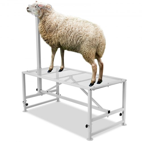 

VEVOR Goat & Sheep Stand, 47x23 inch Livestock Stand, Metal Livestock Milking and Shearing Stand 21" to 33" Adjustable Height, with Headpiece and Nose Loop, 500lbs Loading Weight, White
