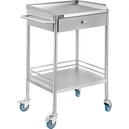 Pedestal Rolling Cart 2-layer Stainless Steel Lab Cart W/ Upper Drawer Rolling