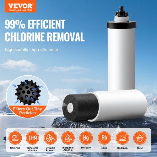 https://image.vevor.com/us%2FZLLSQ225GALHDYUJ5V0%2Fgoods_img-v3%2Fwater-filter-f1.jpg?timestamp=1730881788000
