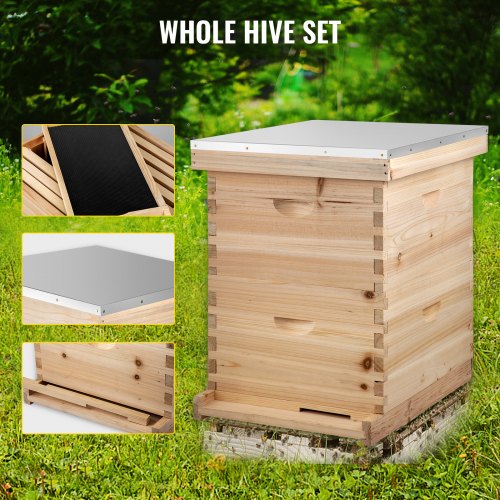 VEVOR Beehive Complete Box Kit 20 Frame(10 Deep-10 Medium) Langstroth ...