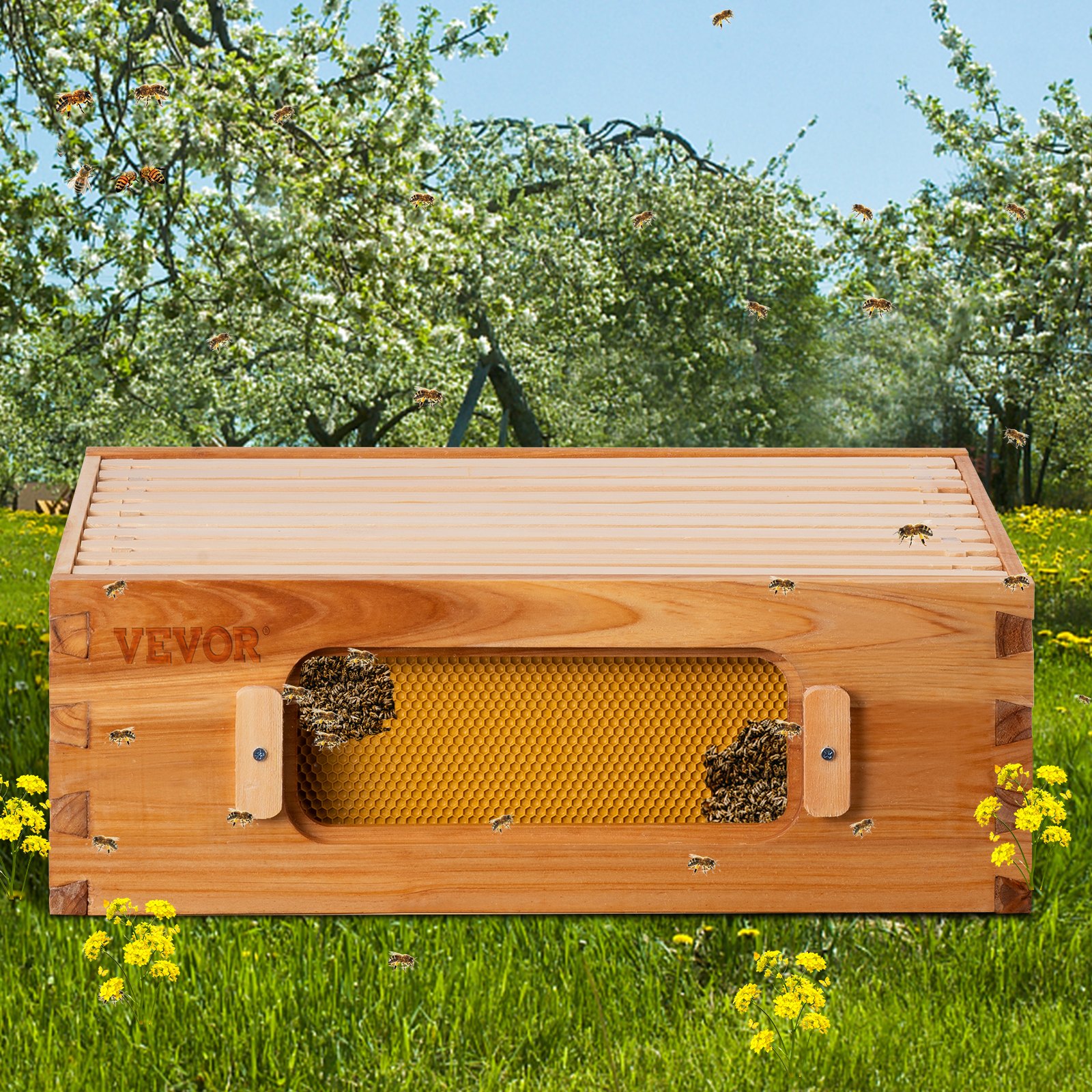 VEVOR Beehive Box Kit Bee Honey Hive 10 Frames 1 Medium Beeswax Natural ...