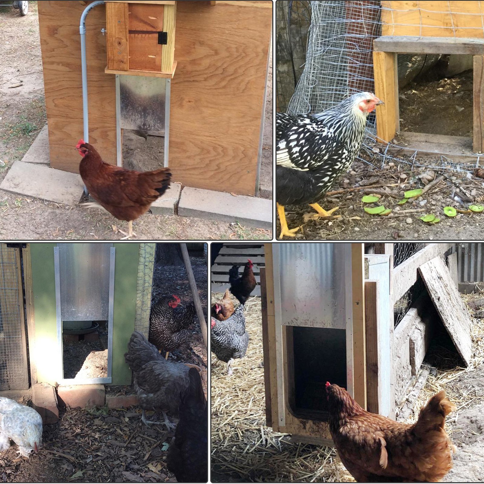 VEVOR VEVOR Automatic Chicken Coop Door, Chicken Coop Door 12.6x11.8in ...