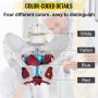 vevor-pelvic-floor-model-scientific-anatomy-model-colored-female