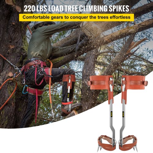 tree climbing kit with spurs